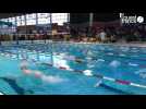 Plus de 250 nageurs au meeting du Bout de l'an à Saint-Lô (Manche)