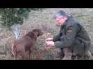 Gers : il traque la truffe noire depuis presque 50 ans