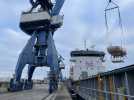 VIDÉO. 92 voiliers de la Mini 6.50 et de la Transat Jacque Vabre de retour en cargo à Lorient