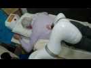 VIDÉO. Se faire masser avec un robot, une innovation présentée au CES de Las Vegas