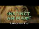 [Bande annonce] Instinct animal avec Gil Alma - Label :  Ouest France - Category : News