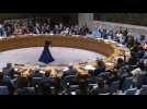 Gaza: le Conseil de sécurité de l'ONU 