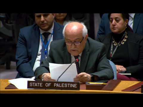 UN Security Council resolution 'step in right direction': Palestinian envoy