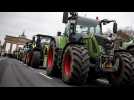 Allemagne : les agriculteurs se mobilisent contre les coupes budgétaires