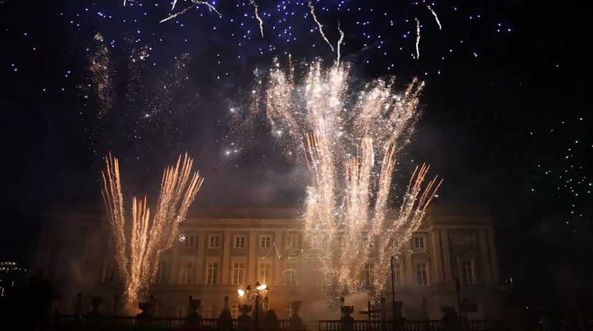 55 000 spectateurs ont admiré le feu d'artifice du Nouvel An à Bruxelles  (PHOTOS) 