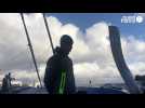 VIDÉO. Arkéa Ultim Challenge : les larmes de Tom Laperche lors de l'arrivée de son bateau à Brest