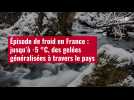 VIDÉO. Épisode de froid en France : jusqu'à -5 °C, des gelées généralisées à travers le pa
