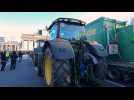 Allemagne : des milliers d'agriculteurs dans la rue