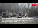 VIDEO. Plus de 20 frênes têtards centenaire arrachés dans les Marais Poitevin