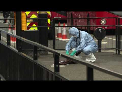 Police arrest 'terror act' knifeman by British parliament