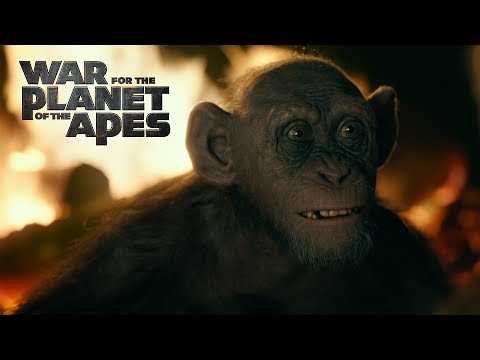 War for the Planet of the Apes | 'Bad Ape' |Official HD Clip | 2017
