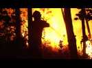 Huge Portugal forest fire kills dozens