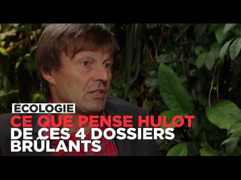 Ce que pense Nicolas Hulot du nucléaire, du gaz de schiste, de Notre-dame-des-Landes...