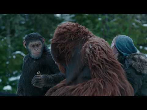 War for the Planet of the Apes | 'Jane Goodall: Compassion' | Official HD Video 2017