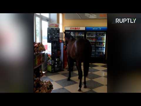 A Horse Walks into a Convenience Store...