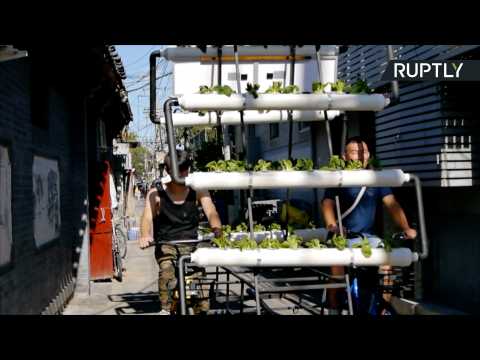 Solar-Powered Mobile Garden Brings Fresh Produce to Crowded Beijing Suburb