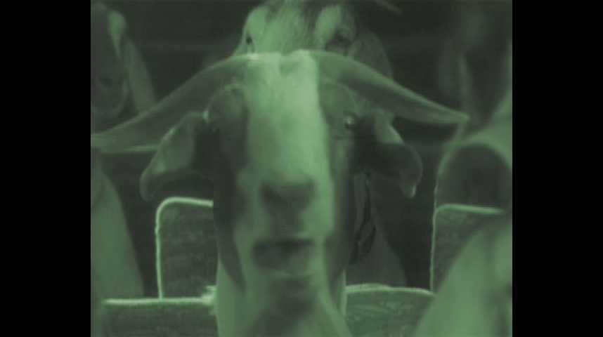 Les Chèvres du Pentagone - Teaser 3 - VO - (2009)