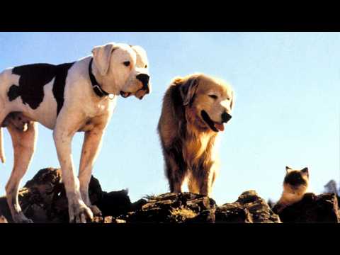 L'Incroyable Voyage - Bande annonce 1 - VO - (1992)