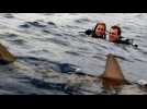 Open water en eaux profondes - Bande annonce 2 - VO - (2003)