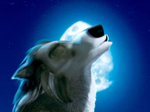 Alpha & Omega - 3D - Teaser 6 - VO - (2010)