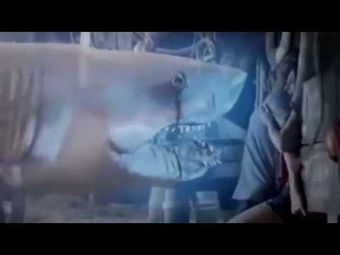 Ghost Shark - bande annonce 2 - VO - (2013)