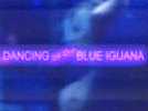 Dancing at the Blue Iguana - Bande annonce 1 - VO - (2000) - Label : Orange - Webedia - Category : Cinéma