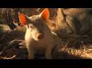 Babe, le cochon devenu berger - Bande annonce 2 - VO - (1995)