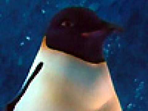 Happy Feet - Bande annonce 18 - VO - (2006)