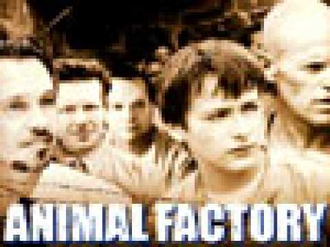 Animal Factory - bande annonce - VOST - (2001)