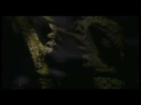 Le Pacte des loups - Teaser 22 - VO - (2001)