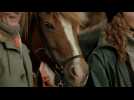 Des chevaux et des hommes - Bande annonce 1 - VO - (2013)