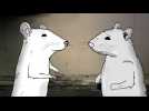 Animals - Bande annonce 1 - VO - Label : Orange - Webedia Series - Category : Cinéma