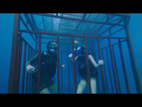 47 Meters Down - Bande annonce 1 - VO - (2017)