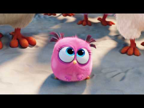 Angry Birds - Le Film - Bande annonce 10 - VO - (2016)