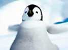 Happy Feet - Bande annonce 13 - VO - (2006)