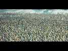 Happy Feet - Bande annonce 19 - VO - (2006)