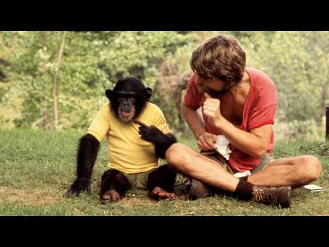 Le Projet Nim - Bande annonce 2 - VO - (2011)