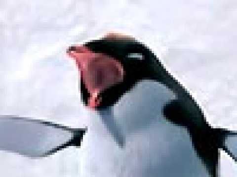 Happy Feet - Bande annonce 11 - VO - (2006)