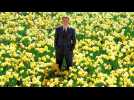 Big Fish - Bande annonce 2 - VO - (2003) - Label : Orange - Webedia - Category : Cinéma