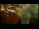 Le Pacte des loups - bande annonce 3 - (2001) - Label : Orange - Webedia - Category : Cinéma
