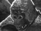 Le Fils de Kong - Bande annonce 1 - VO - (1933)