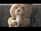 Ted - Bande annonce 1 - VO - (2012) - Label : Orange - Webedia - Category : Cinéma