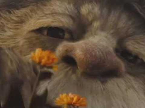 Max et les maximonstres - Bande annonce 18 - VO - (2009)