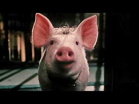 Babe, le cochon dans la ville - Bande annonce 1 - VO - (1998)