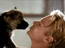 Rintintin - Bande annonce 1 - VO - (2007) - Label : Orange - Webedia - Category : Cinéma