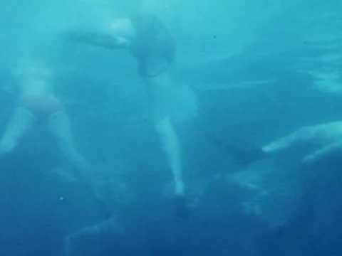 Les Dents de la Mer - Teaser 9 - VO - (1975)