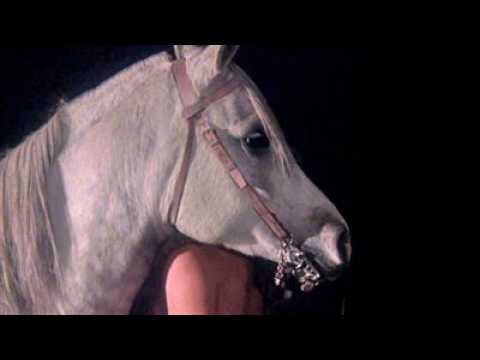 Equus - bande annonce 2 - VOST - (1978)