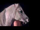 Equus - bande annonce 2 - VOST - (1978)