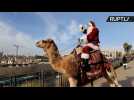 Watch East Jerusalem’s Santa Take a Ride on Rudolph the Red-Nosed Camel!