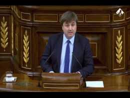 PP propone eliminar "cosificación" jurídica de animales